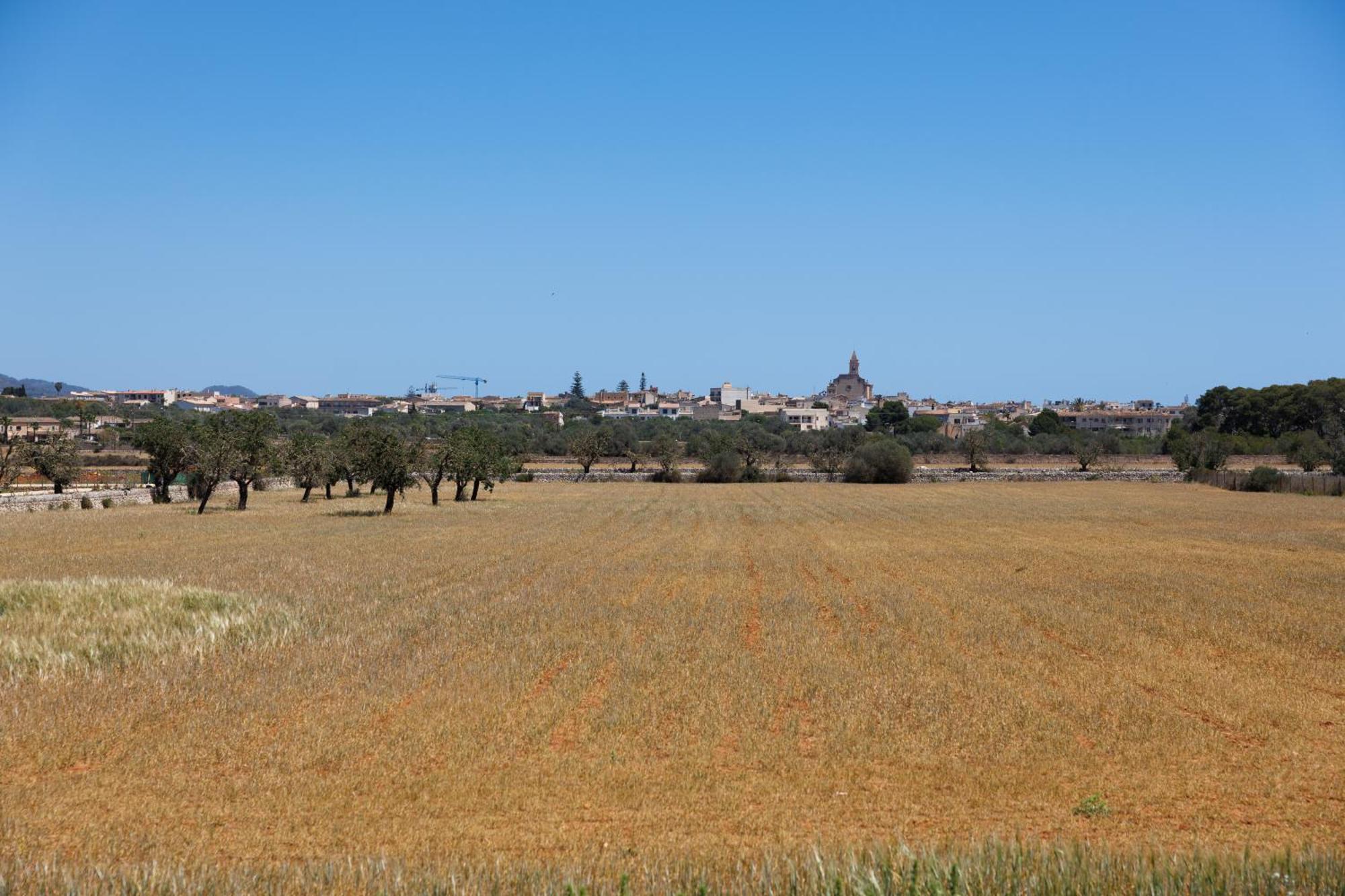 Finca Sa Sort Santanyí Esterno foto